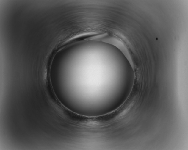 X0000089900589200707121851