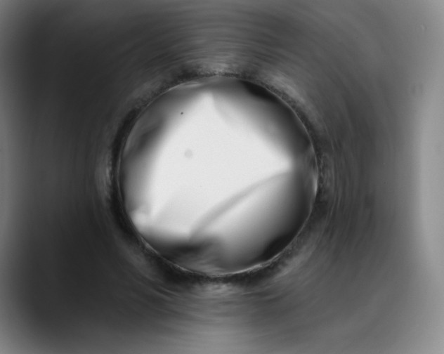 X0000089900590200707121851