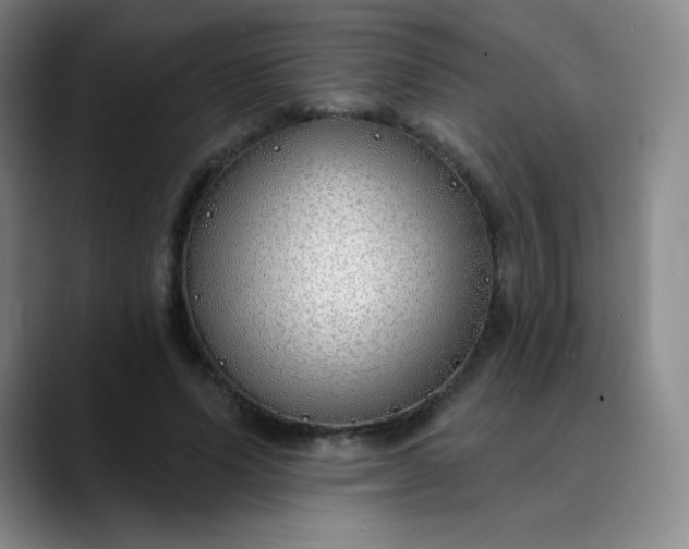 X0000089900591200707121851