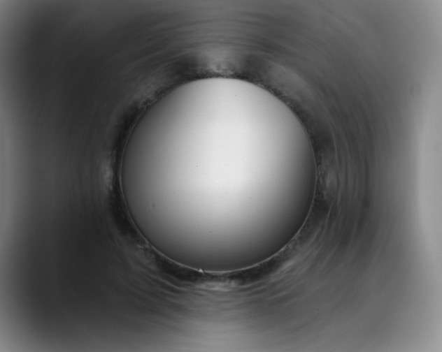 X0000089900595200707121851