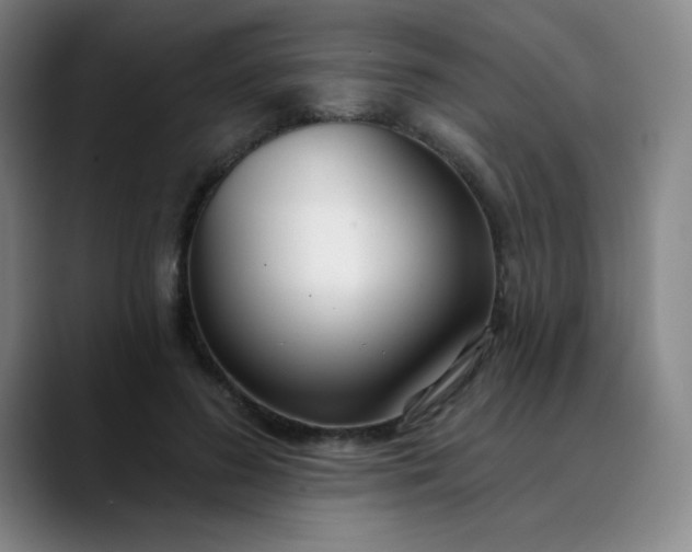 X0000089900596200707121851