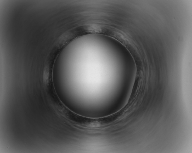 X0000089900600200707121851