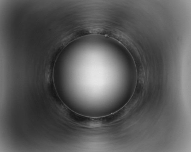X0000089900604200707121851