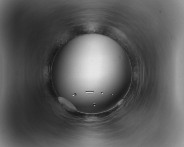 X0000089900605200707121851