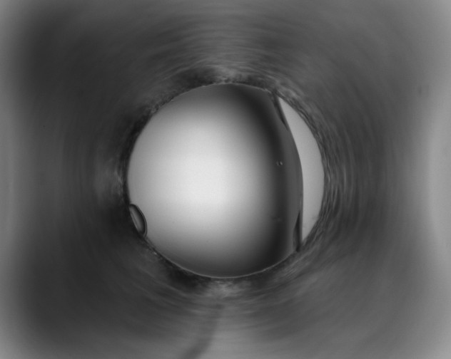 X0000089900613200707121850