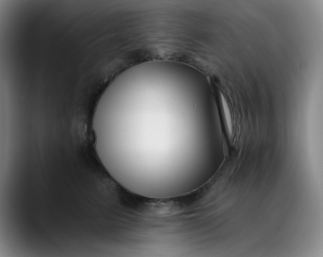 X0000089900615200707121850