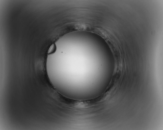 X0000089900616200707121850