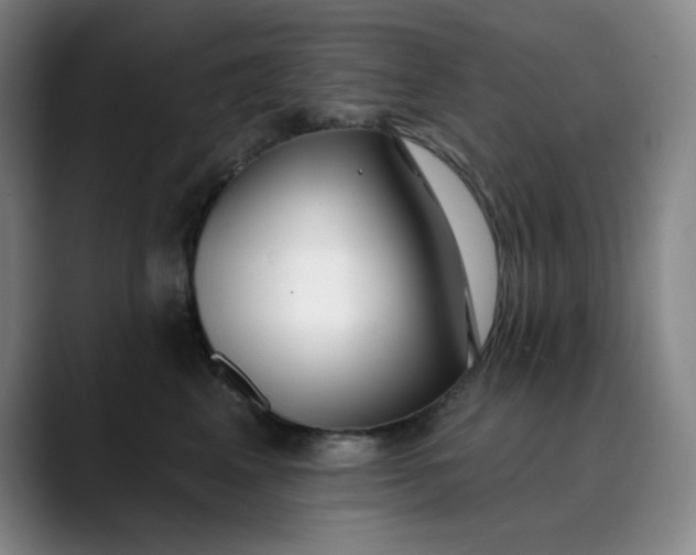 X0000089900617200707121850