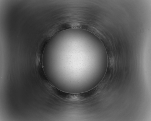 X0000089900618200707121850