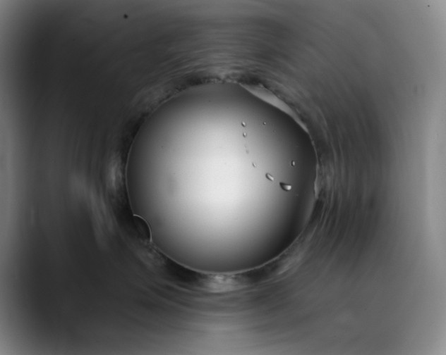 X0000089900623200707121850