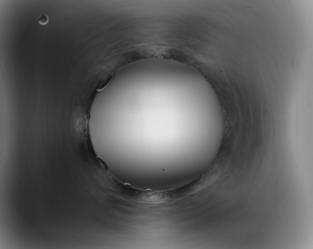 X0000089900624200707121850