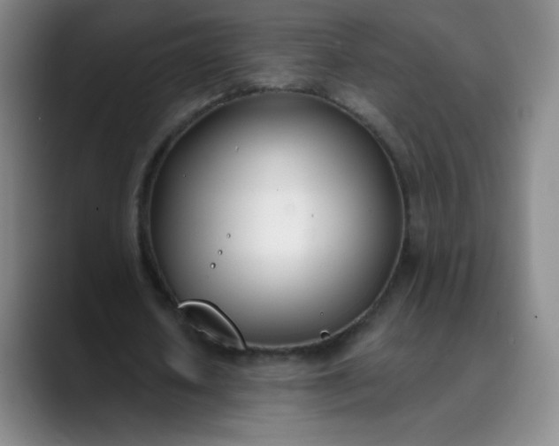 X0000089900626200707121850