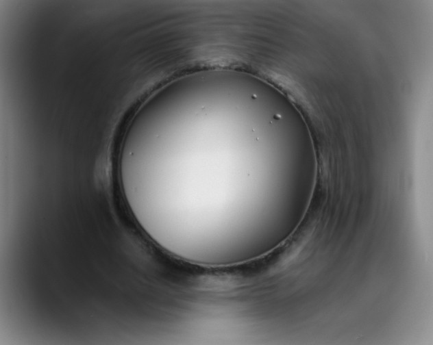 X0000089900630200707121850