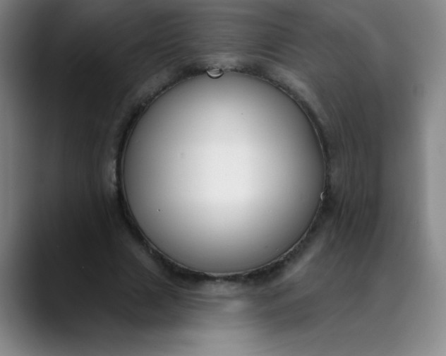 X0000089900633200707121850
