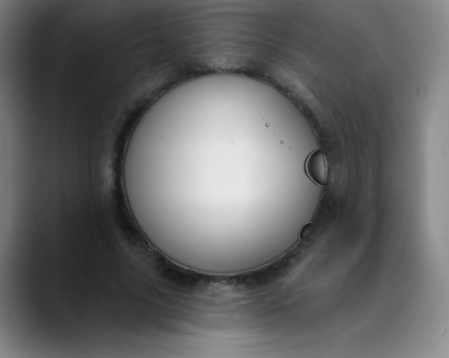 X0000089900635200707121850
