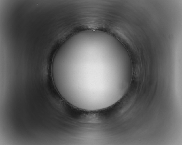 X0000089900639200707121850