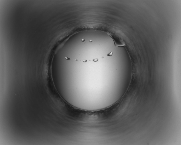 X0000089900640200707121850
