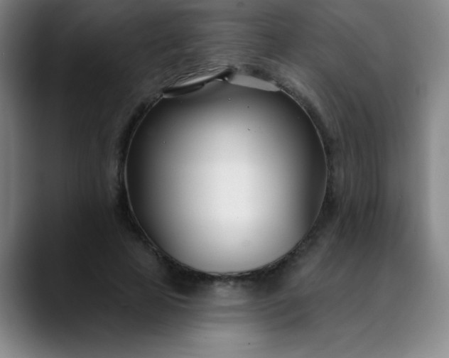 X0000089900641200707121850