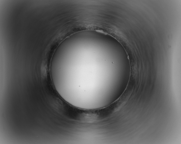 X0000089900644200707121850