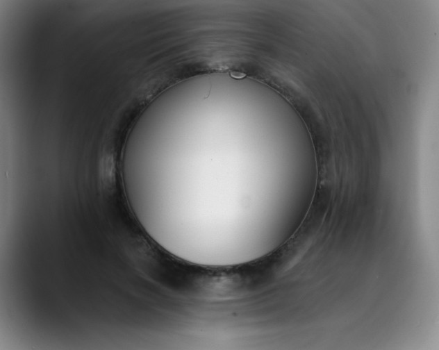 X0000089900646200707121850