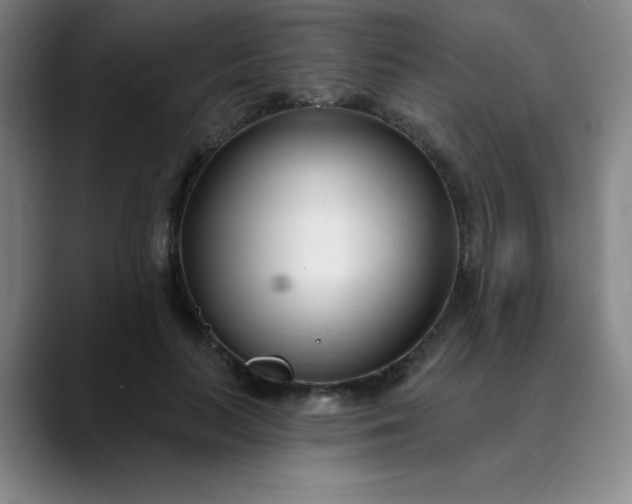 X0000089900647200707121850