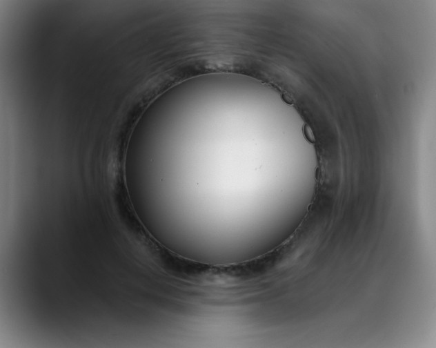 X0000089900648200707121850
