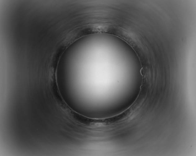 X0000089900649200707121850