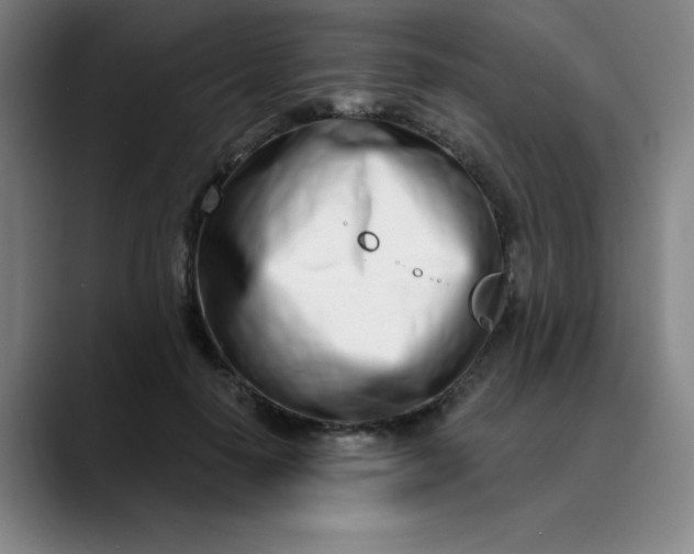 X0000089900650200707121850