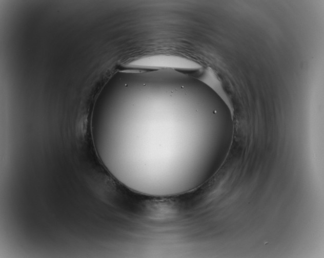 X0000089900652200707121850