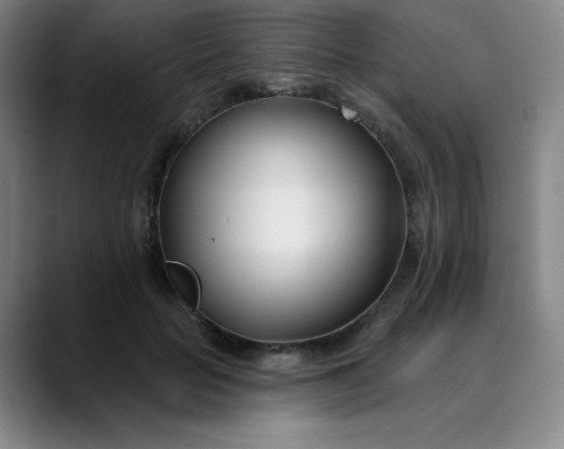 X0000089900653200707121850