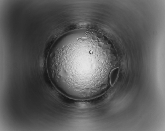 X0000089900654200707121850