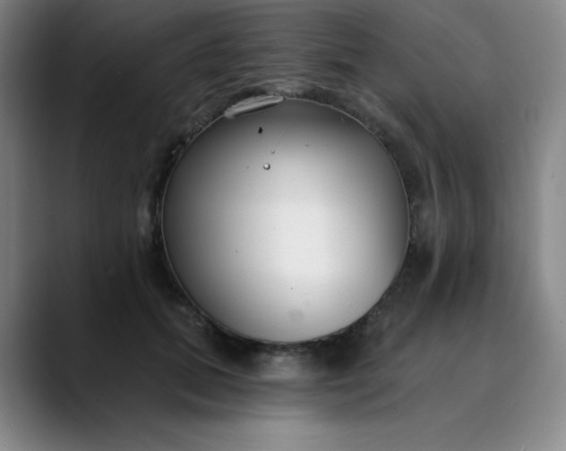 X0000089900655200707121850