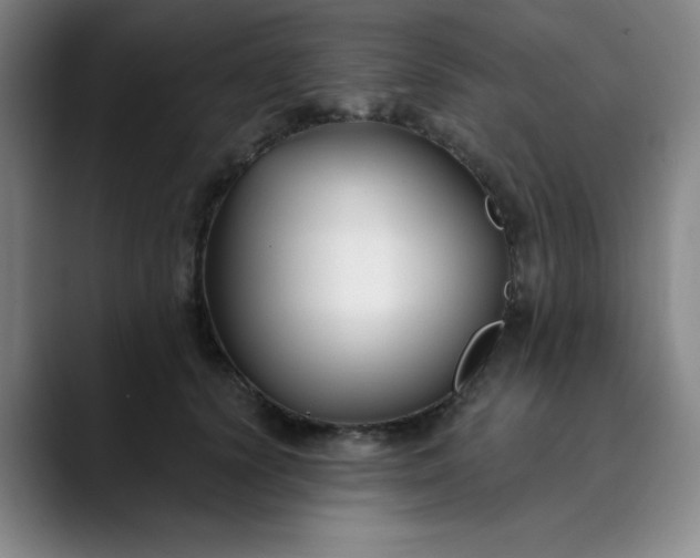 X0000089900656200707121850