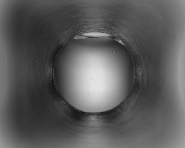 X0000089900657200707121850