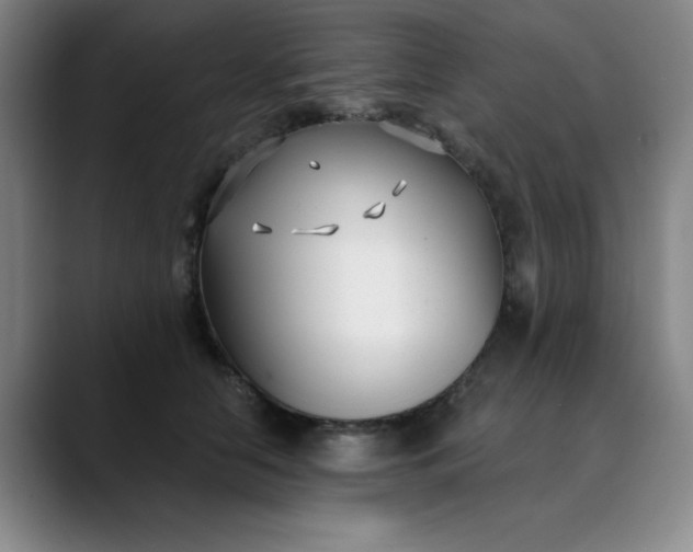 X0000089900658200707121850