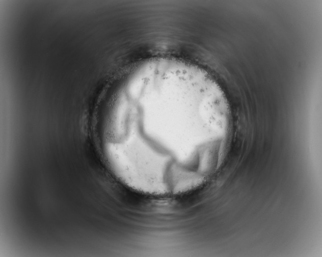 X0000089900659200707121850