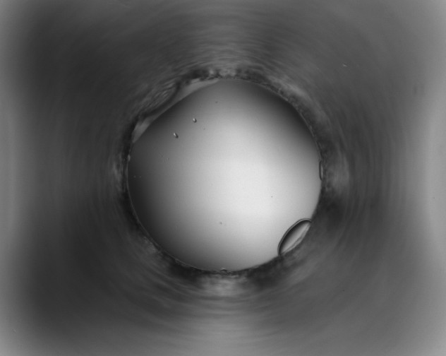 X0000089900661200707121850