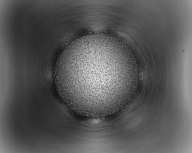 X0000089900662200707121850