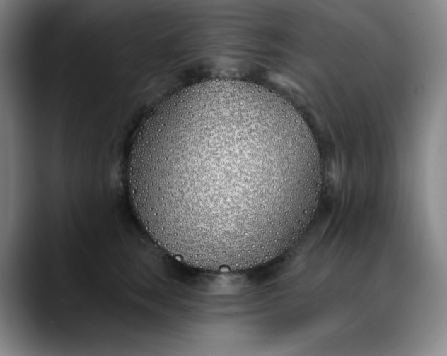 X0000089900663200707121850