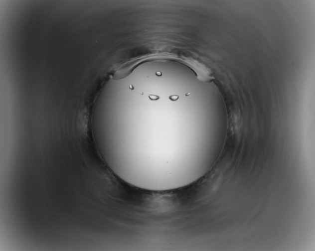 X0000089900664200707121850
