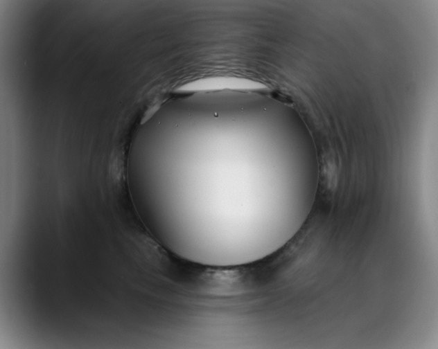 X0000089900665200707121850