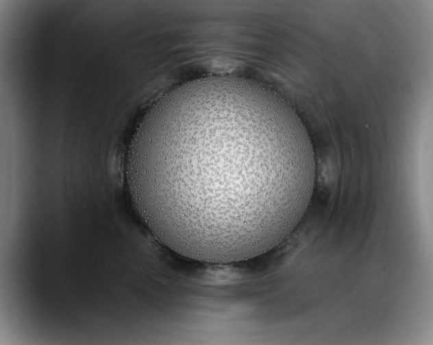 X0000089900666200707121850