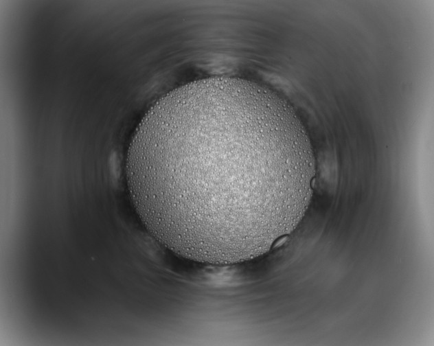 X0000089900667200707121850