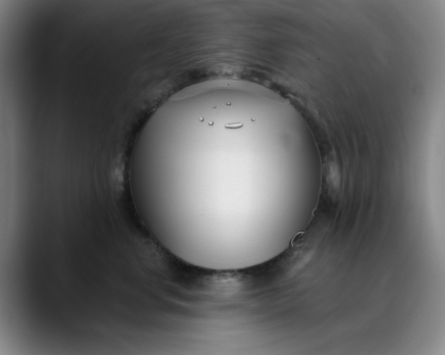 X0000089900668200707121850