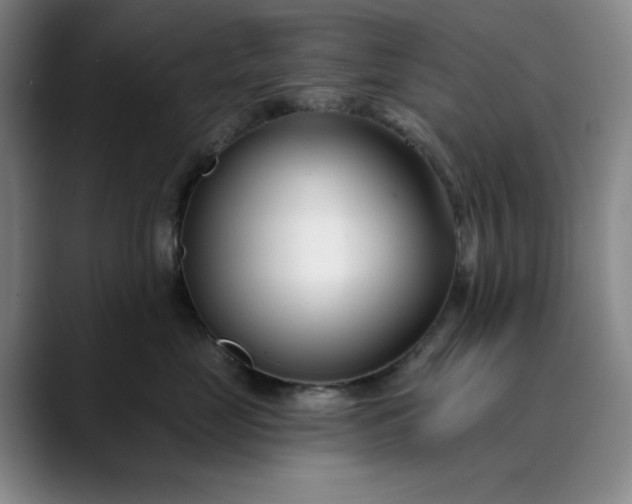 X0000089900669200707121850