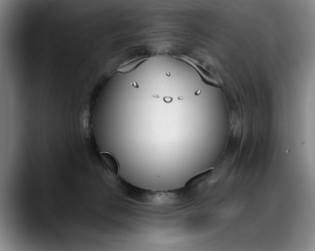 X0000089900670200707121850