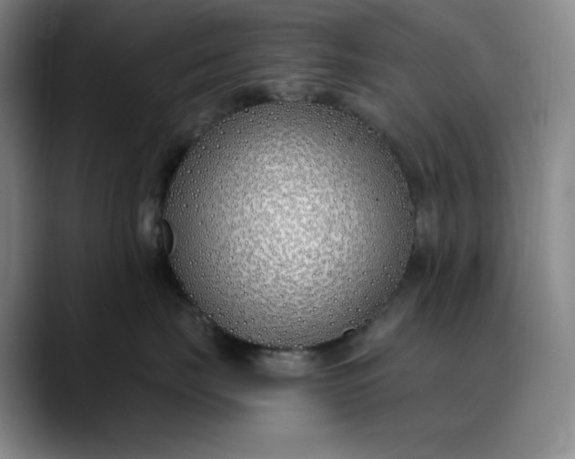 X0000089900671200707121850