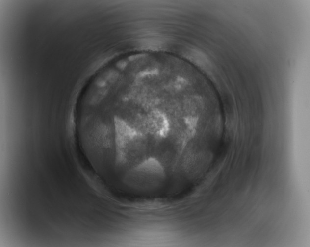 X0000089900674200707121850