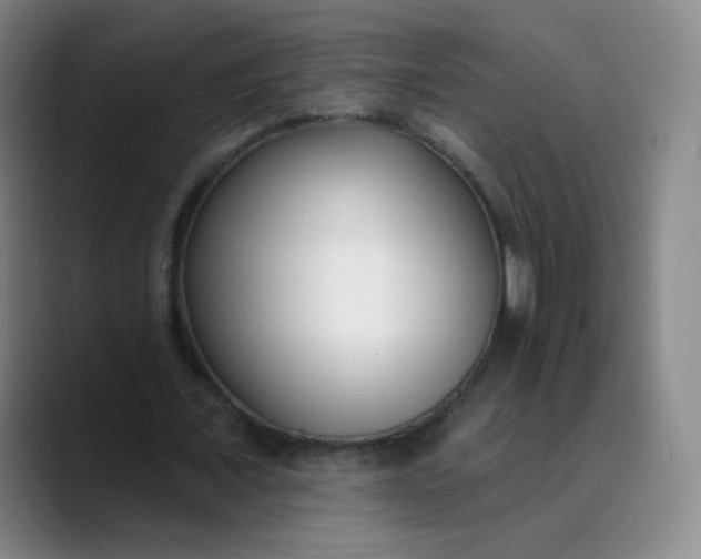 X0000089900675200707121850