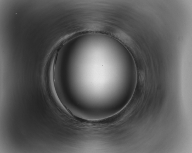 X0000089900676200707121850
